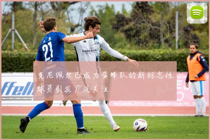 克尼佩尔已成为黄蜂队的新标志性球员引发广泛关注